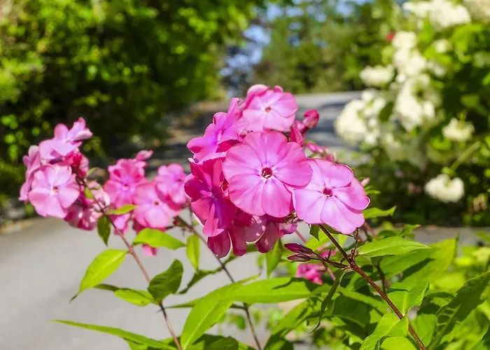 Bed & Breakfast Charlotte 5*